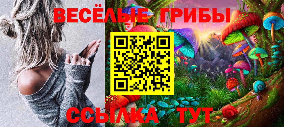 Галлюциногенные грибы Magic Shrooms  Вход с VPN  Ковров 