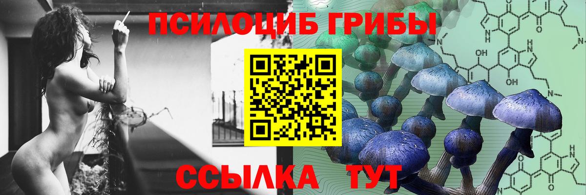 Псилоцибиновые грибы мицелий Ковров